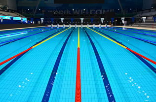 乐鱼体育在线登陆-花样游泳世界杯中国组合获最佳表现奖,花样游泳世界杯冠军