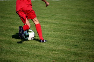 乐鱼体育在线入口-足球青训教练员认证体系全面升级,足球青训教练平均工资水平