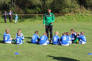 乐鱼体育官网下载-欧洲杯幕后策略:战术大翻盘令人震惊,欧洲杯探讨